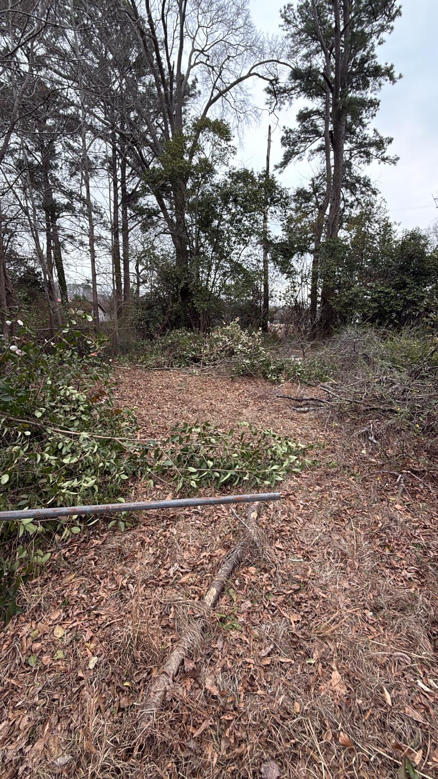 Lonnie - NC - 2026 - Before